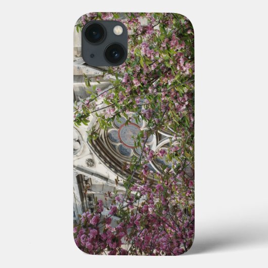 Notre Dame spring Case-Mate iPhone Case (Achterkant)