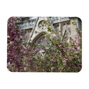 Notre Dame spring Magneet