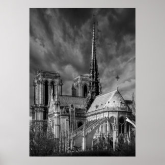 Notre-Dame uit Parijs Poster