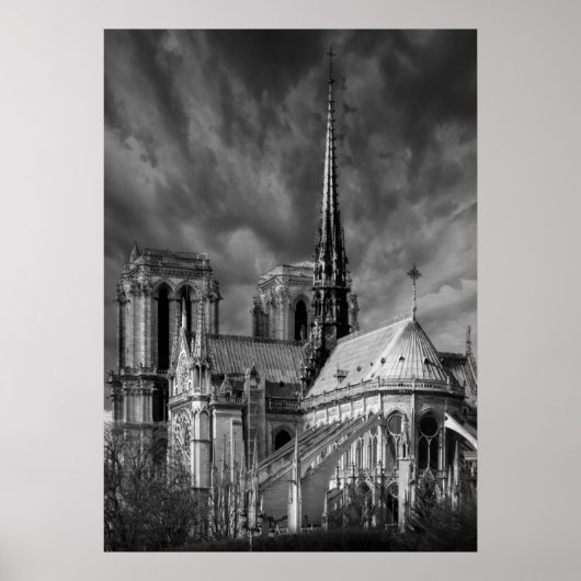 Notre-Dame uit Parijs Poster (Voorkant)