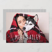 Notre nouveau faire-part simple de photo du chien (Devant / Derrière)