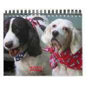 Notre Pack Calendrier 2012, Petit (Protection)