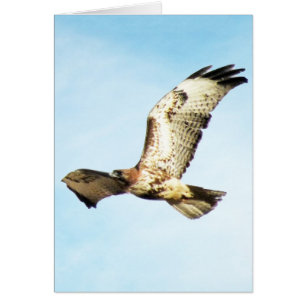 "Notre plus grande gloire. "Faucon Rouge-Coupé la