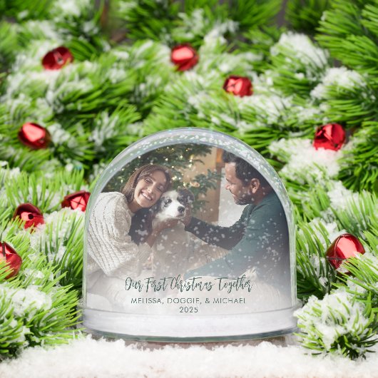 Notre premier Noël avec des animaux de compagnie P (Noël)