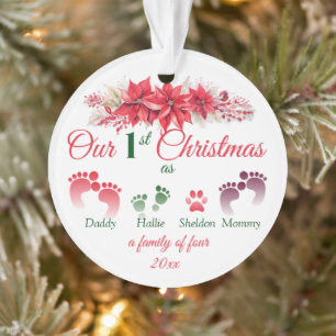 Notre Premier Noël En Famille De 4 Poinsettia