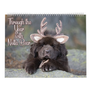 Notta Bear door het jaar Kalender