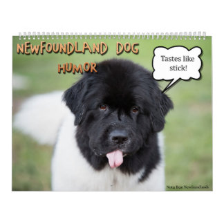 Notta Bear Newfoundlanders Humor Kalender