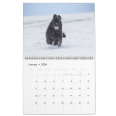 Notta Bear Newfs Dans Le Calendrier En Mouvement (Jan 2026)