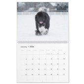 Notta Bear Terre-Neuve Calendrier ShellBea (Jan 2026)