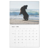 Notta Bear Terre-Neuve-et-Labrador Calendrier de l (Mar 2026)