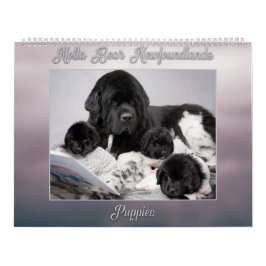 Notta Beer Newfoundlands Jaar van de Puppies Kalender