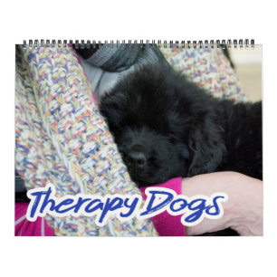 Notta Beer Newfoundlands Therapy Dogs Calendar Kalender