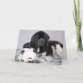 Notta draagt Welkome Kaart