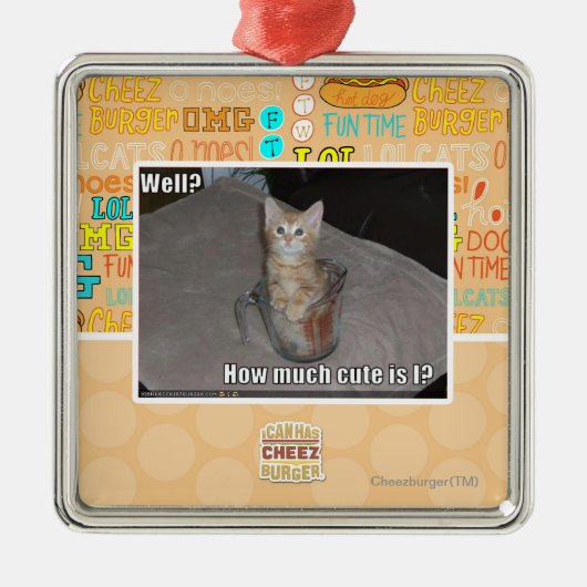 Nou? Metalen Ornament (Voorkant)