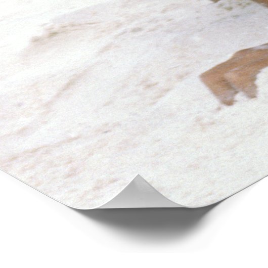 Nou, Tyred. Poster (Hoek)