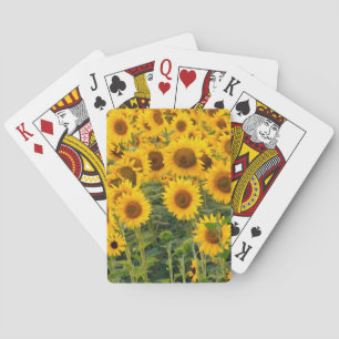 Nou, VS, Colorado, Zonnebloemen Speelkaarten