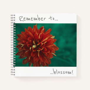N'oubliez pas de faire éclore le cahier du chrysan
