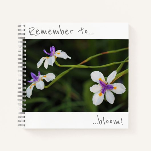 N'oubliez pas de fleurir Cahier de fleurs d'Iris s (Devant)