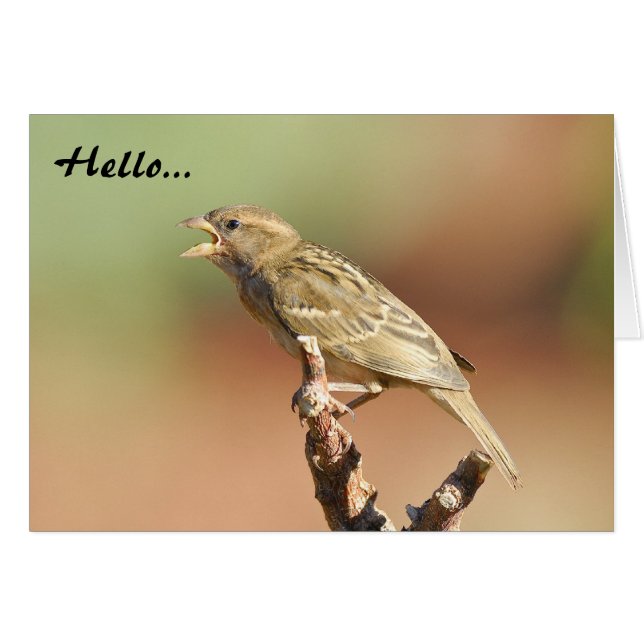 Nourris-moi ! (Devant Horizontal)