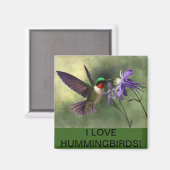 Nourriture de colibri sur un aimant à fleurs (Recto/Verso)