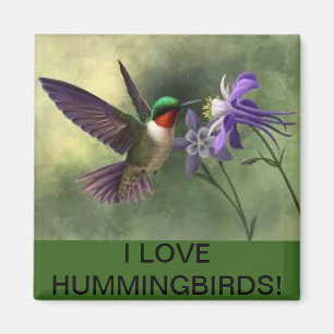 Nourriture de colibri sur un aimant à fleurs