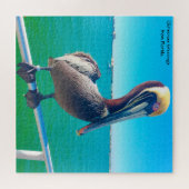 Nous aimons les puzzles de pélicans en Floride (Horizontal)