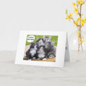 NOUS AVONS 9 VIES "SUR LA CARTE GROUPE HILL" (Fleur jaune)