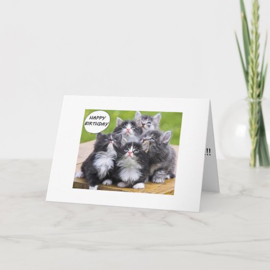 NOUS AVONS 9 VIES "SUR LA CARTE GROUPE HILL" (Devant)