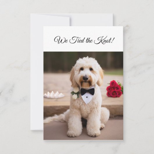 Nous avons attaché le noeud fiançailles faire-part (Devant)