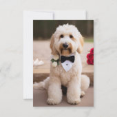 Nous avons attaché le noeud fiançailles faire-part (Dos)