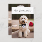 Nous avons attaché le noeud fiançailles faire-part (Devant / Derrière)