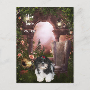 "Nous avons déménagé" Carte Postale Shih Tzu