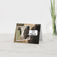 Nous avons déménagé Faire-part avec vache