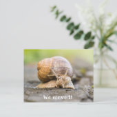 Nous avons déplacé carte postale avec escargot (Debout devant)