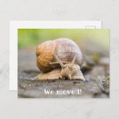 Nous avons déplacé carte postale avec escargot (Devant / Derrière)
