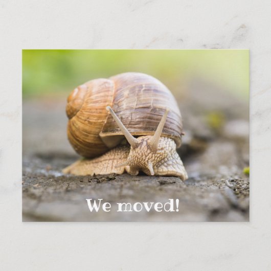 Nous avons déplacé carte postale avec escargot (Devant)