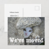 Nous avons déplacé Cute cat masquer Photo carte po (Devant / Derrière)