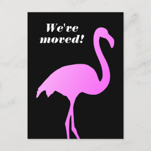 Nous avons déplacé des cartes postales flamingo ro