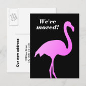 Nous avons déplacé des cartes postales flamingo ro (Devant / Derrière)