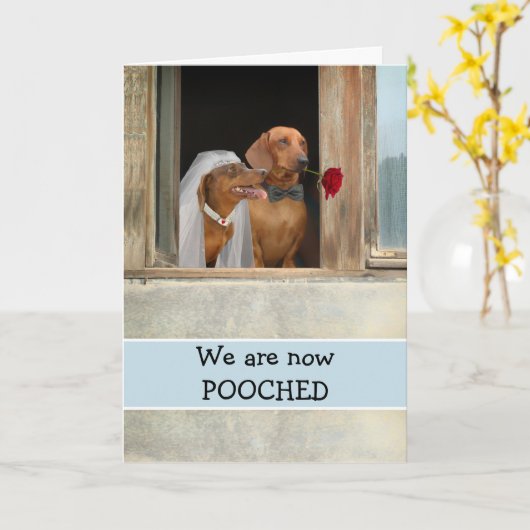 Nous avons eu des Faire-part mariés avec des Dachs (Fleur jaune)