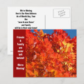 Nous déménageons Cartes postales Ami et Famille Dé (Devant / Derrière)