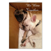 Nous étions ensemble… (Devant)