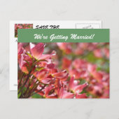Nous nous marions ! cartes postales Enregistrer la (Devant / Derrière)