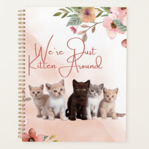 Nous sommes juste Kitten autour du planificateur d