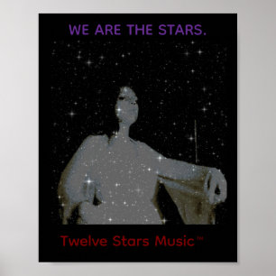 Nous sommes les stars ALBUM ART POSTER