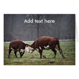 Nous sommes Moooooving…