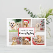 Nous t'avons fait une carte de voeux de Noël moche (Debout devant)