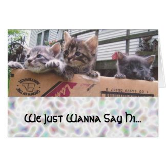 Nous Voulons Juste Dire Bonjour...