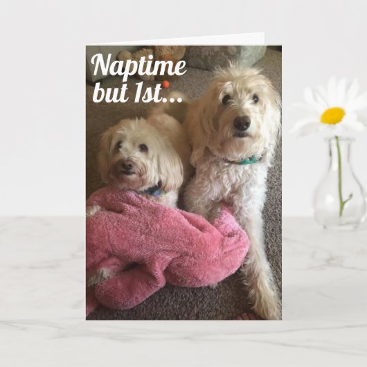 NOUS VOULONS QUE "VOUS" AIT UNE CARTE D'ANNIVERSAI (Petite plante)