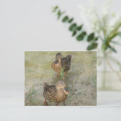 Nous vous envoyons une carte postale (Debout devant)